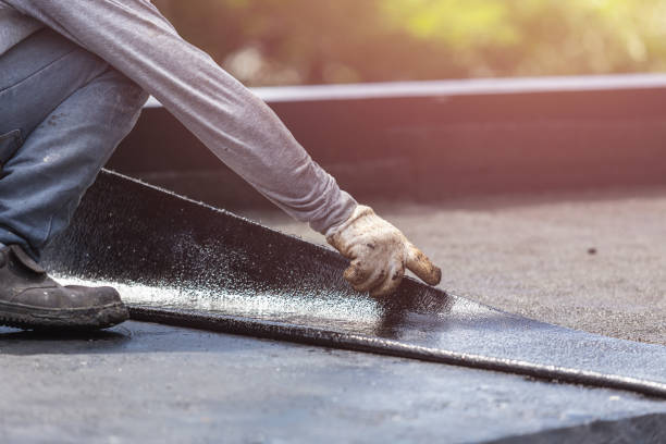 Professional Interior Drainage System technician working in Monticello, IL